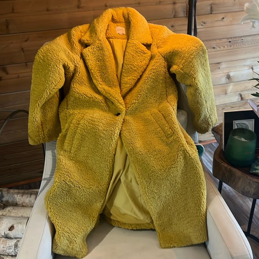 Ann Taylor coat